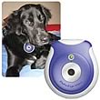 Pet Eye View Digital Camera